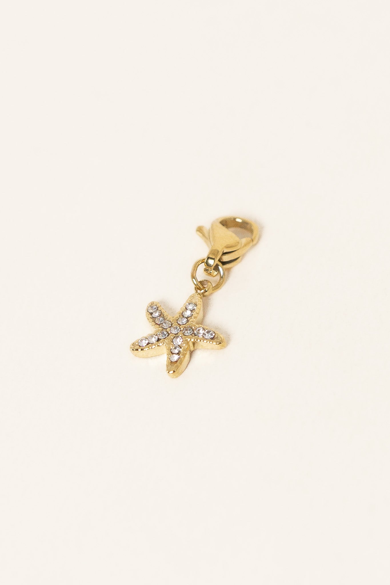 charm-starfish-acier-inoxydable