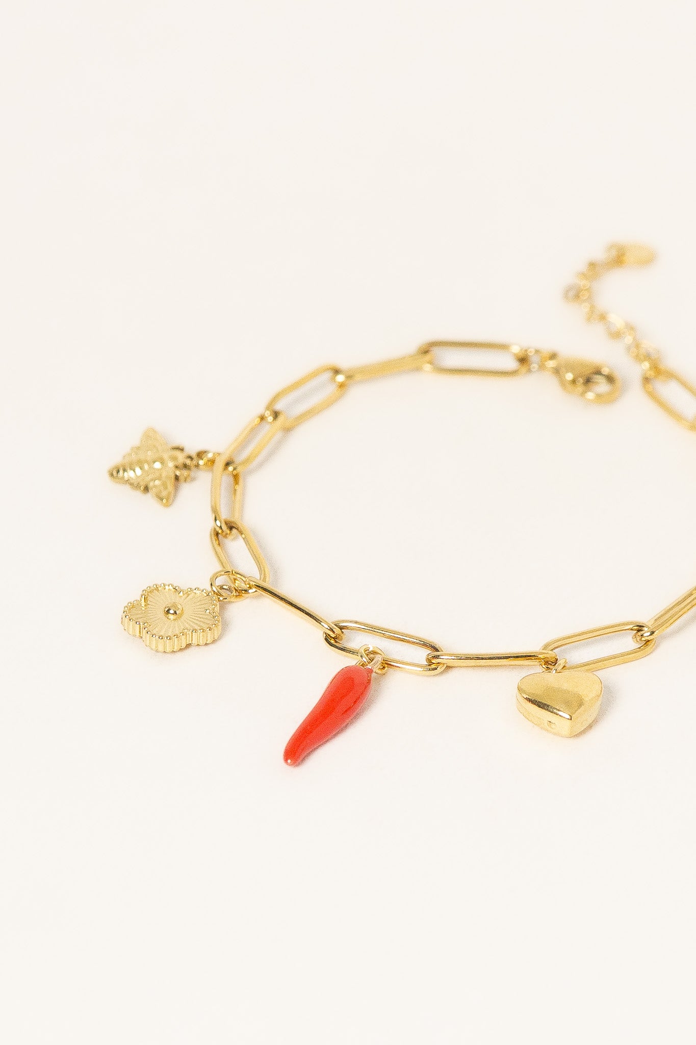 bracelet-piment-acier-inoxydable