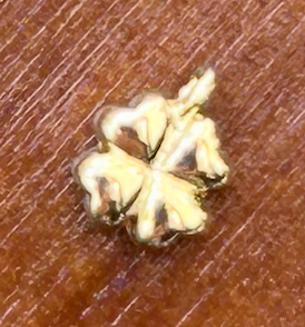 BP-CHARMS GF 9 (mini trefle)