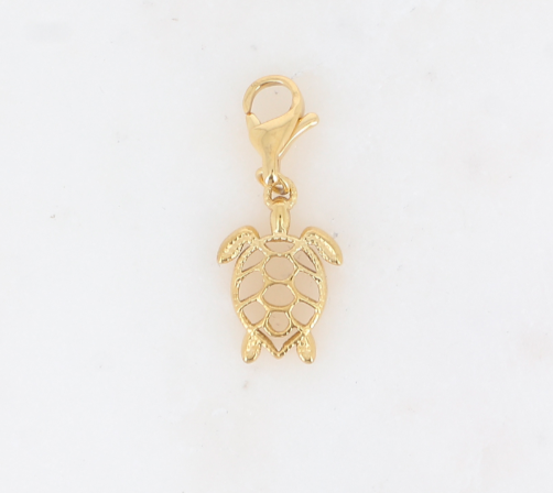 Charm's Turtle