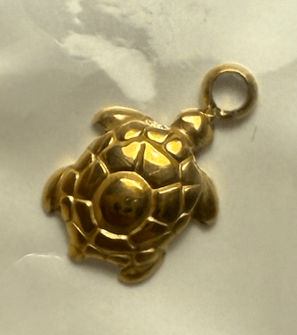 BP-Charm's 27 (tortue)